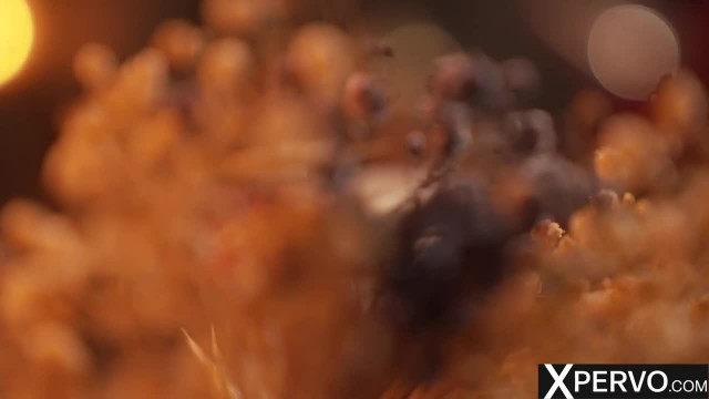 Максимум неистового вожделения с фигуристой любовницей - #1